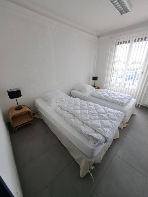 Joli T3 3 Min Gare Perpignan Daire Dış mekan fotoğraf